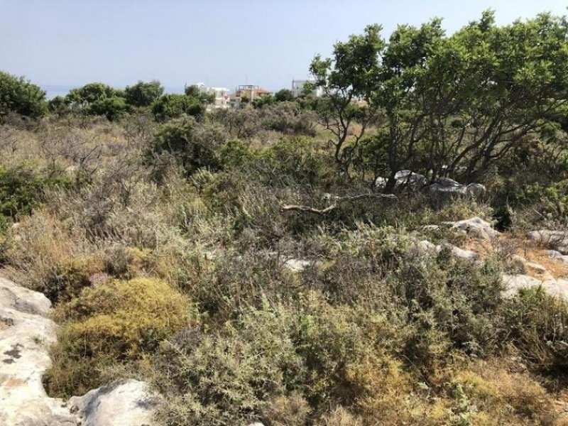 Gerani bei Rethymno Kreta, Gerani: Erstklassiges Grundstück mit Meerblick nahe Rethymno zu verkaufen Grundstück kaufen